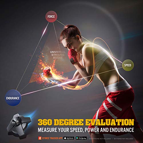 TGU Force Tracker: Advanced Punch and Kick Analysis for Boxing Training