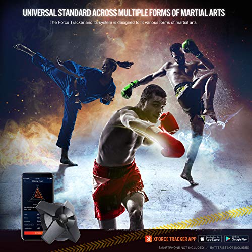 TGU Force Tracker: Advanced Punch and Kick Analysis for Boxing Training