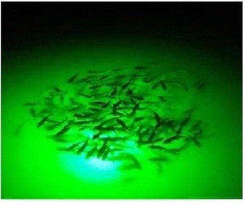 Green Blob Outdoors: 15,000 Lumen Underwater LED Fishing Light - Energy-Efficient, Versatile, Texas-Made