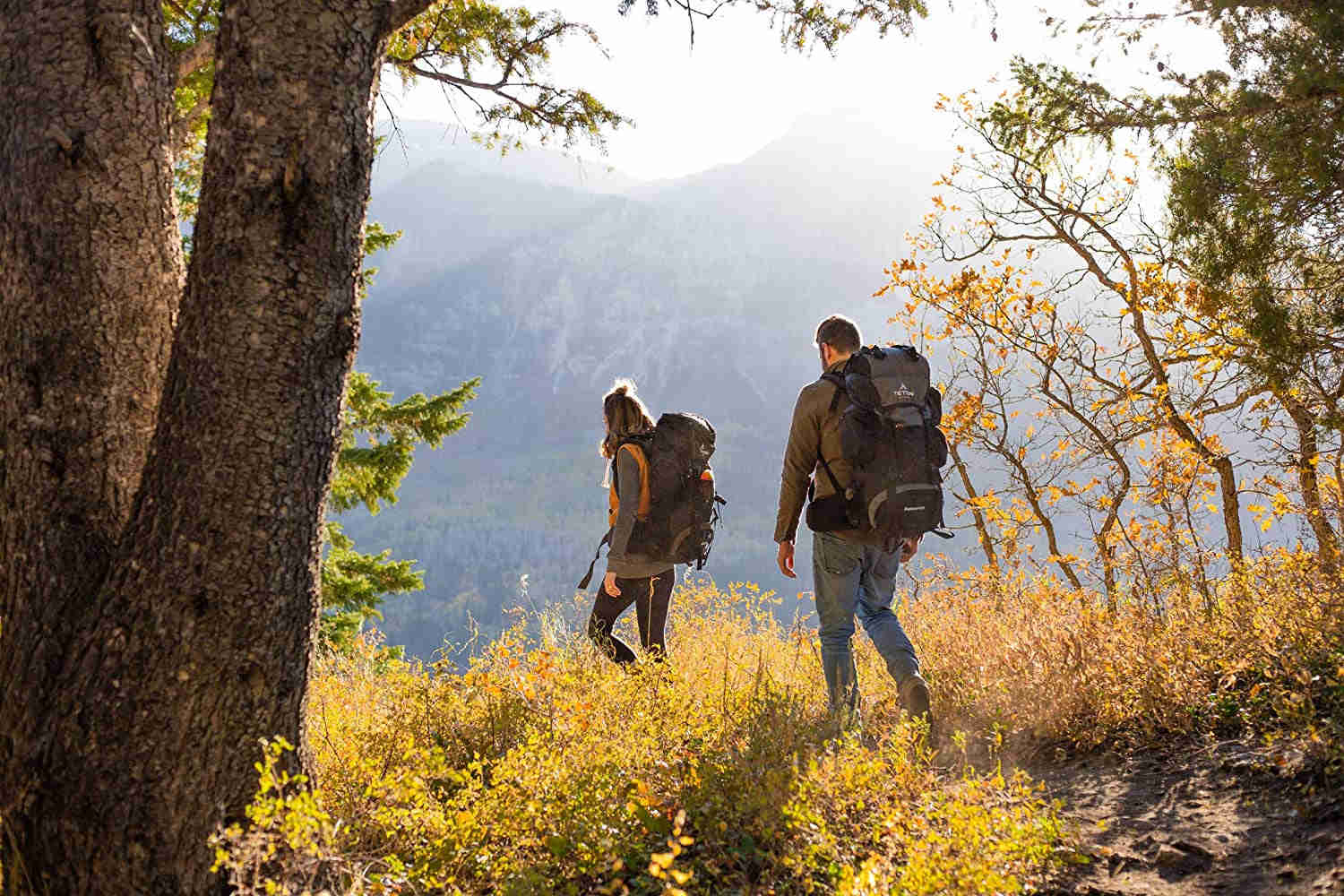 TETON Sports Explorer Backpack - 65L Internal Frame, Adjustable & Water-Repellent