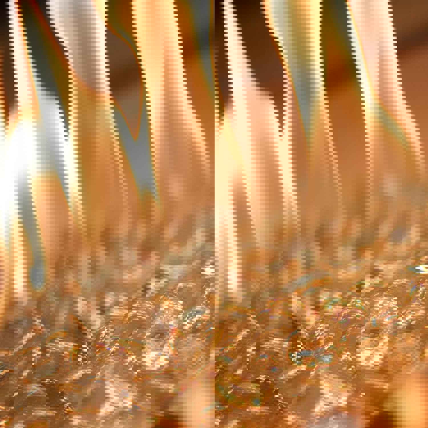 The Outdoor GreatRoom Company Providence 32-Inch Rectangular Natural Gas Fire Pit Table - Brown